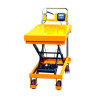 PT Manual Weighing Lift Table 800kg