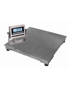 Stainless Steel Platform Scales
